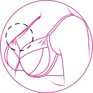 Illustration of a well-fitting bra